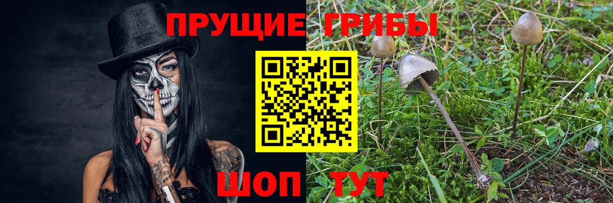 Псилоцибиновые грибы ЛСД  Вход с VPN  Киров 